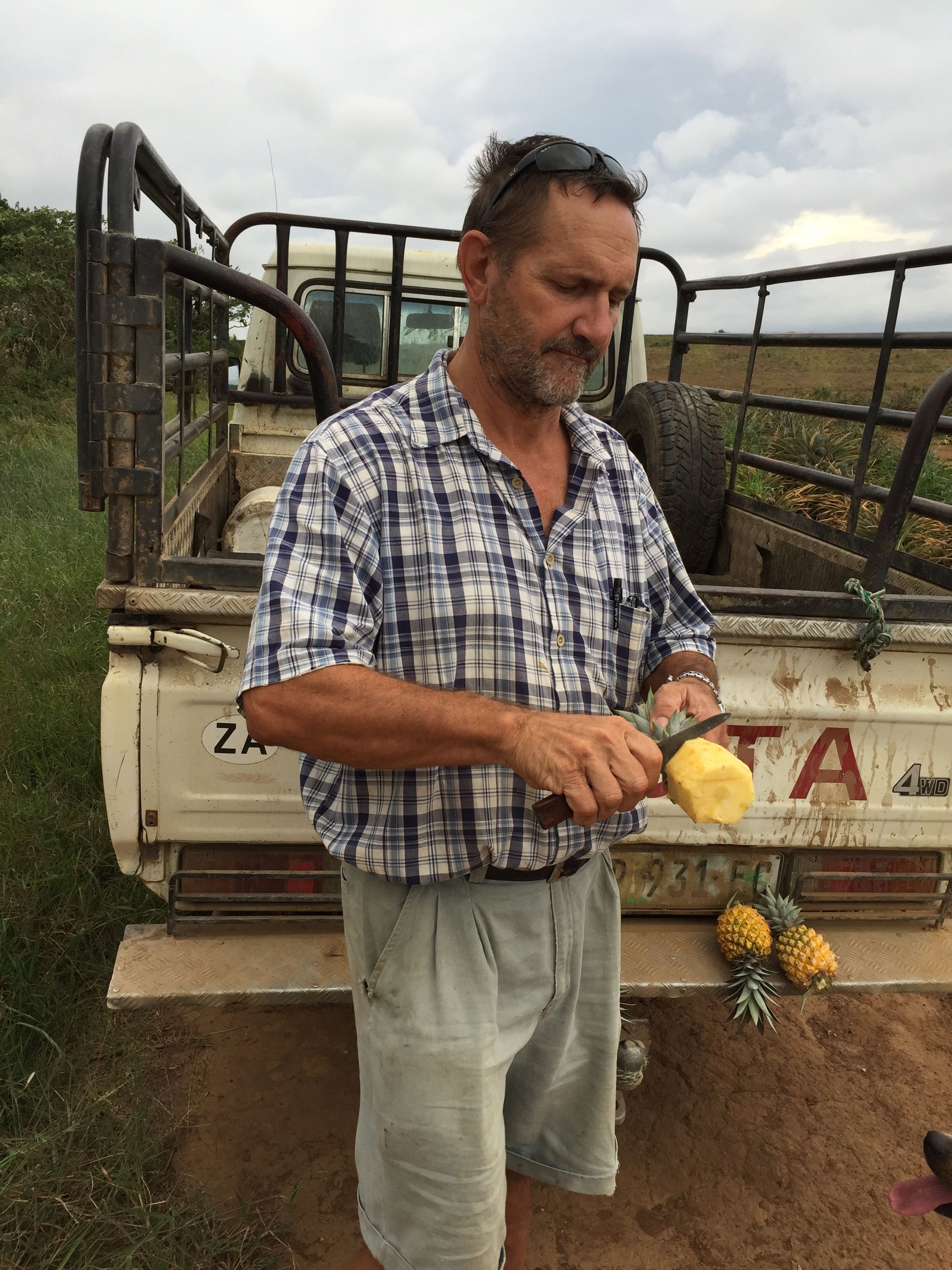Ein Mann hält Ananas in der Hand