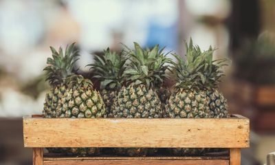 Ananas in einer hellen Holzkiste