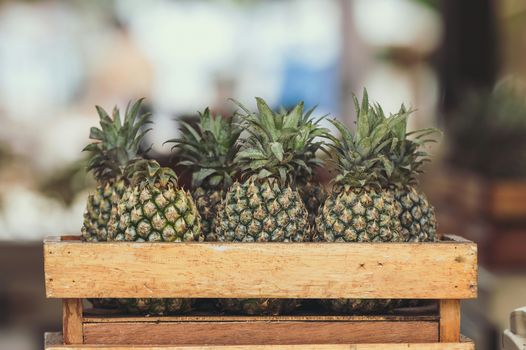 Ananas in einer hellen Holzkiste