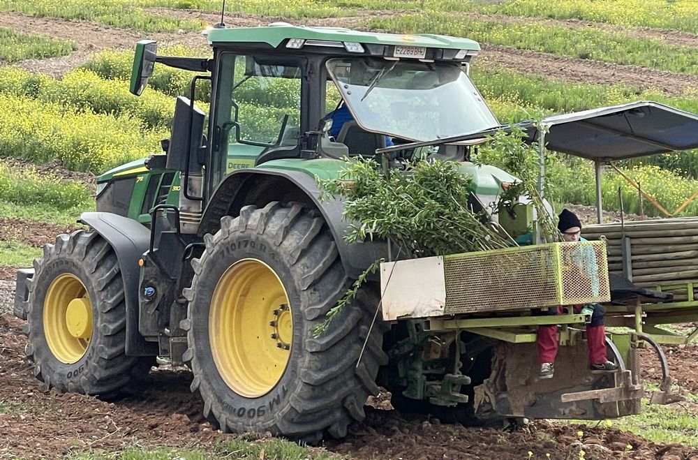 Traktor auf Feld bei der Ernte