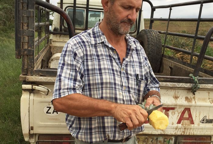 Mann steht vor Lastwagen und schneidet Ananas