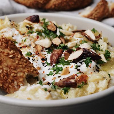 Nahaufnahme einer Schüssel mit Zucchini Baba Ganoush Nahaufnahme einer Schüssel mit Zucchini Baba Ganoush