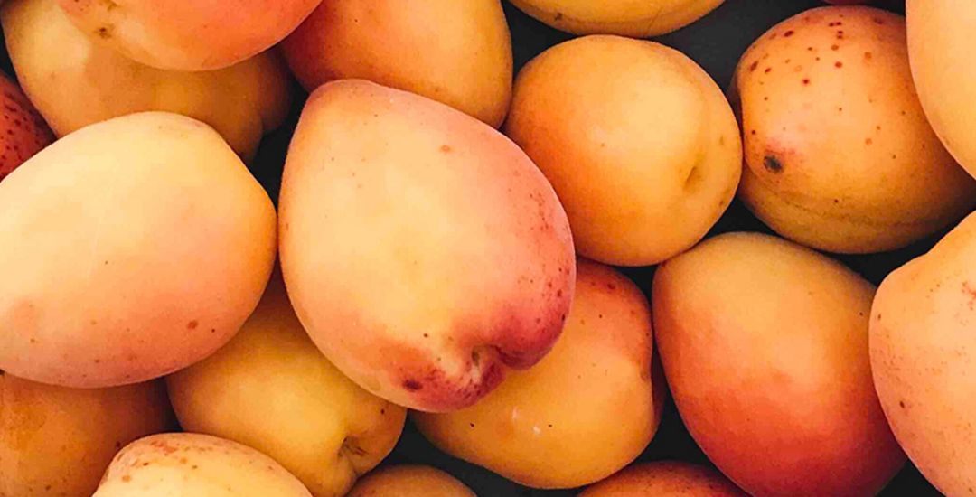 Close-up of yellow apricots