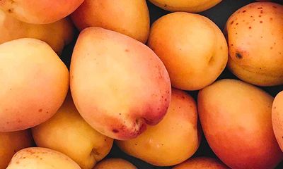 Nahaufnahme gelbe Aprikosen