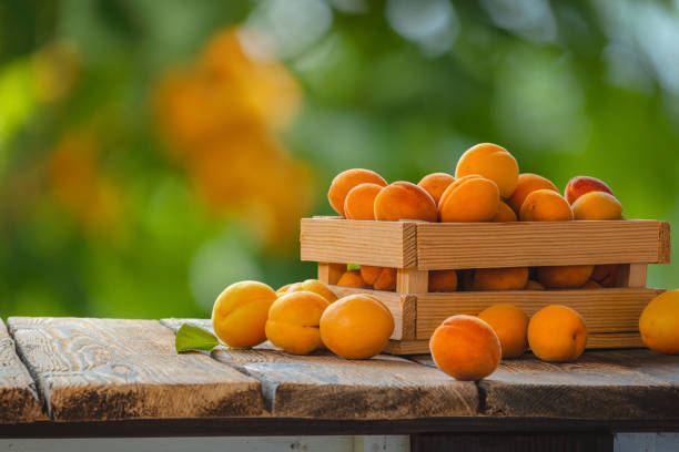 Wooden box with apricots on a wooden table